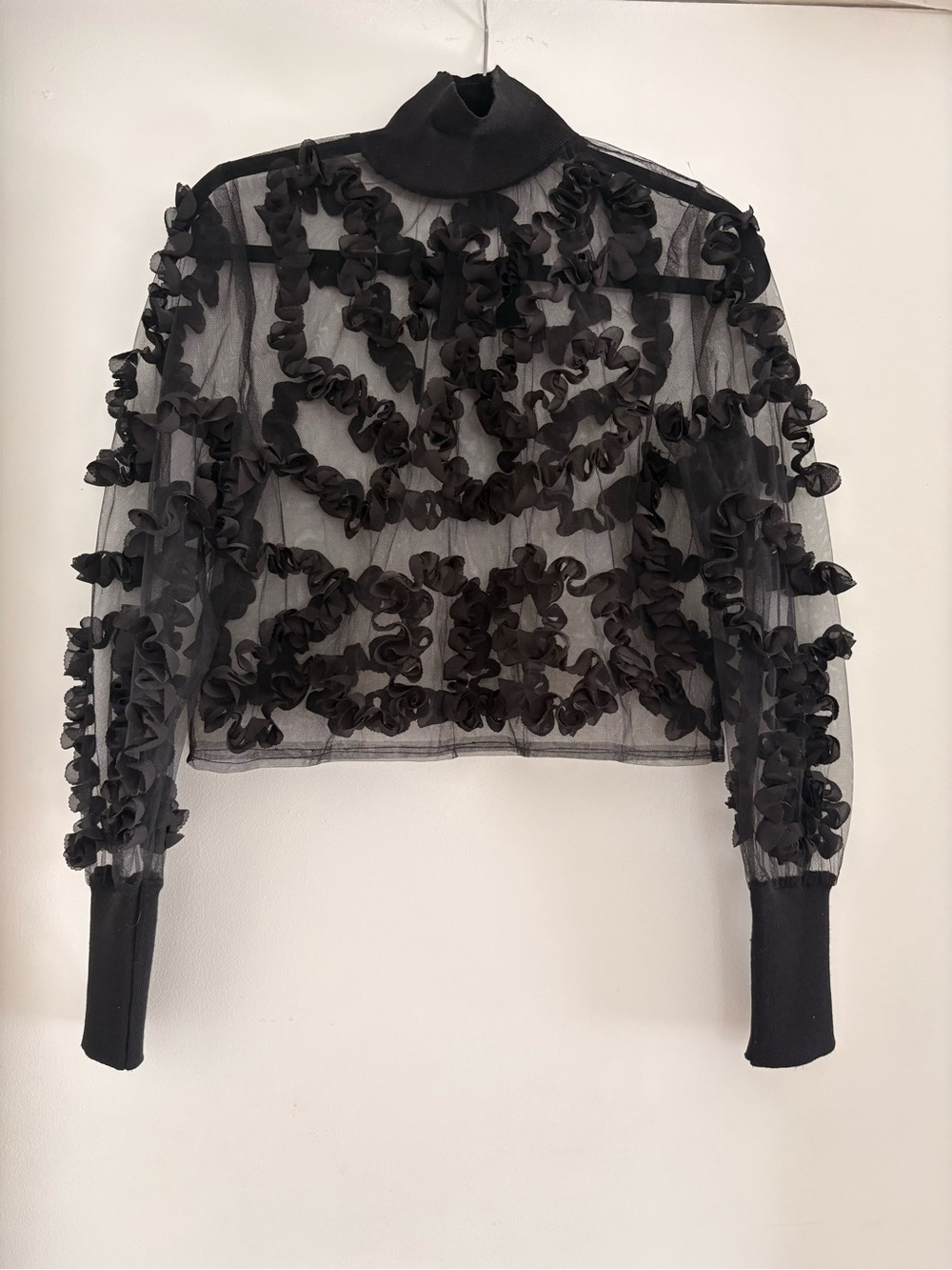 Zara Black Sheer Ruffle Turtleneck Blouse